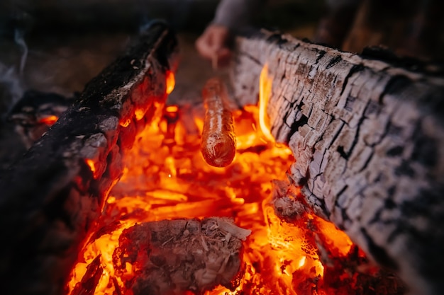 Cooking sausages on a campfire in the forest survival in the wild forest