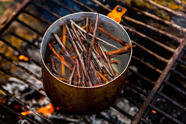 Cooking tea drink at fire in wild