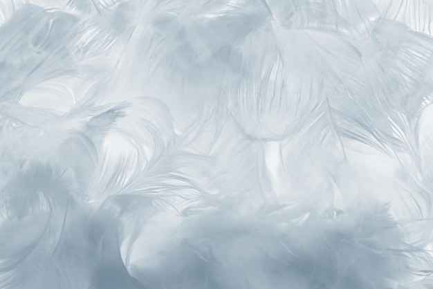cool blue feather pattern texture elegant background for decorative design