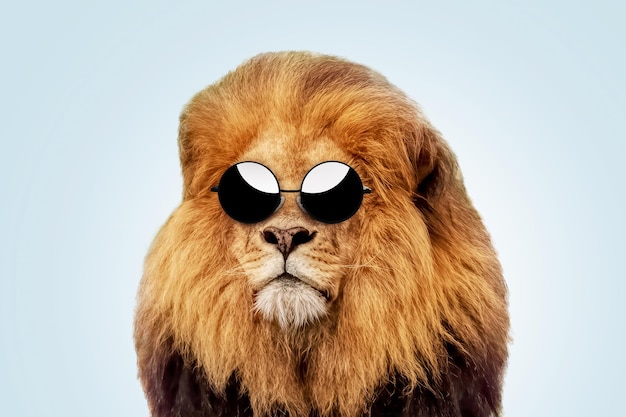Cool handsome hipster lion boss with fashion round sunglasses on a pastel blue background Success business and development creative idea Predator