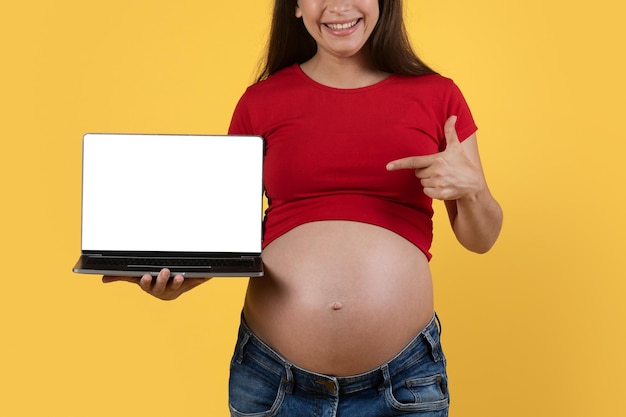 Cool website smiling pregnant woman pointing at laptop with\
blank white screen