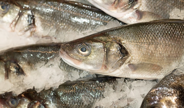 スーパーで販売されている冷やした新鮮なマスの魚