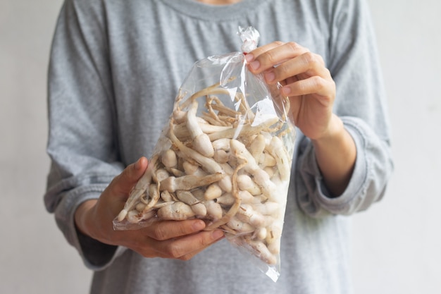 Coprinus comatus mushroom in plastic bag for sale