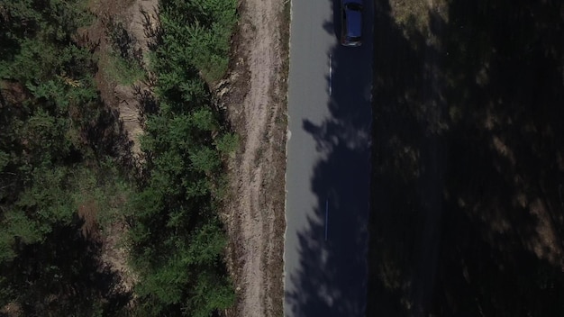 森の道路に乗っているヘリコプタービューの車 道路上を飛行する空撮ドローン