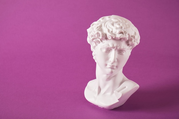 Copy of the head of an antique statue of David on a purple background