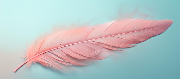 copy space image on isolated background with a feather of a bird