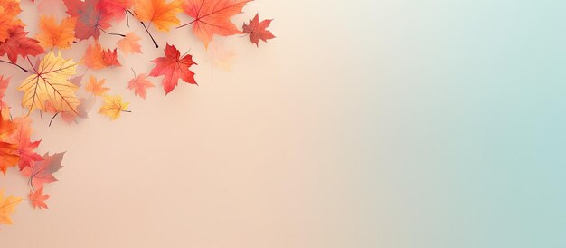 사진 고립된 배경의 가을 잎 카드에 공간 이미지를 복사