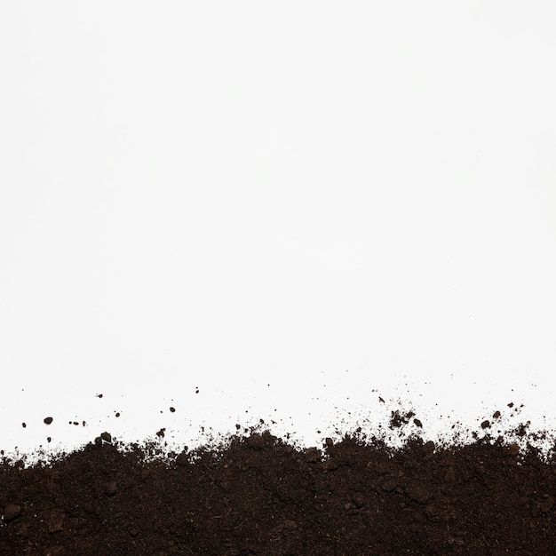 Photo copy space natural soil