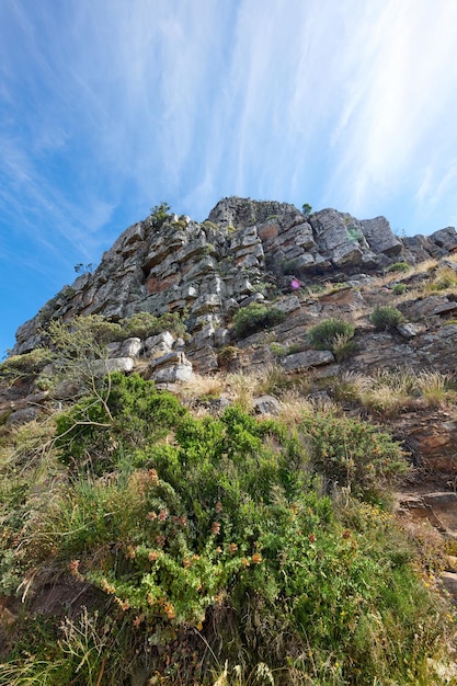 曇った青い空を背景に植物や低木が生えている岩山のスペースを下からコピーします。崖の上に岩があり、景色の良いハイキング中に探索できる険しい遠隔地の風景