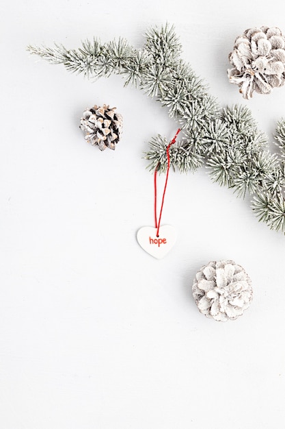 Copy space with Christmas tree branch and pine cone, flat lay, top view