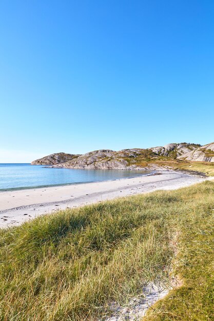 Copyspace at the beach with blue sky background above the horizon Calm ocean waves across an empty sea along the shore with a grassy meadow A tranquil landscape for a relaxing summer holiday