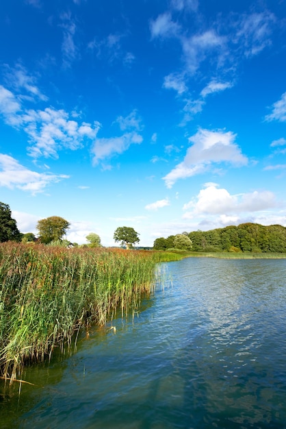 Copyspace en landschap van een kalm en rustig meer met rietbomen en een bewolkte blauwe lucht erboven Een bos met een rivier en weelderige groene planten op een afgelegen locatie in de natuur Visplek voor toeristen