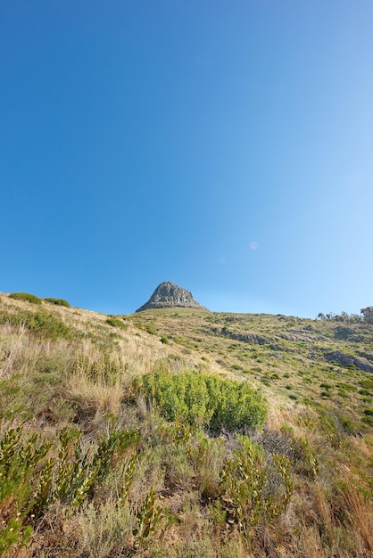 Copyspace met schilderachtig landschap van Lions Head-berg in Kaapstad, Zuid-Afrika tegen een heldere blauwe hemelachtergrond Prachtig panoramisch van planten die groeien rond een beroemde bezienswaardigheid en bestemming