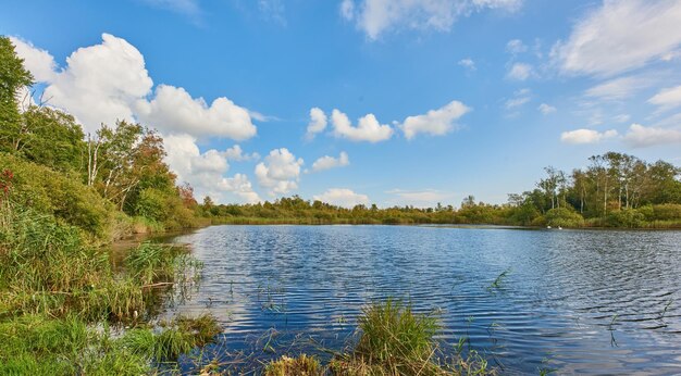 Copyspace and scenic landscape of a calm and quiet lake surround by trees and scrubs and a cloudy blue sky above in Denmark A forest with a river and lush green plants in a remote location in nature