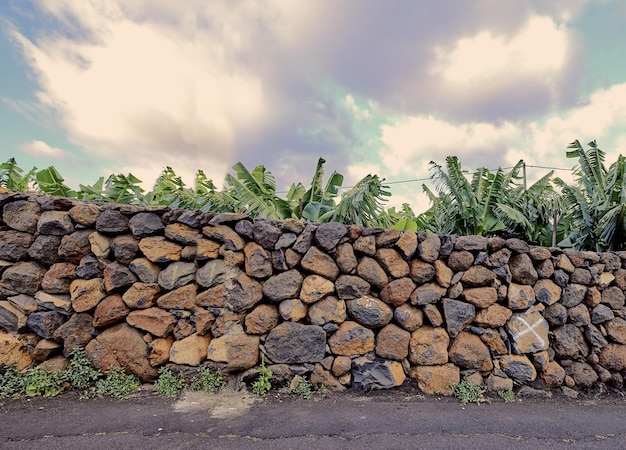 Copyspace with palm trees behind an old stone wall in La Palma Canary Islands Spain against a cloudy sky background Rough exterior architecture with plants growing in a remote tropical destination