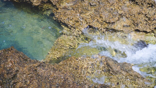 coral in the blue sea