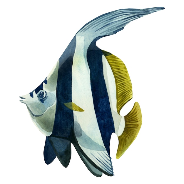 サンゴ礁の魚 水彩イラスト 青黄と水色の水彩で描いたシロヒレカボウバ