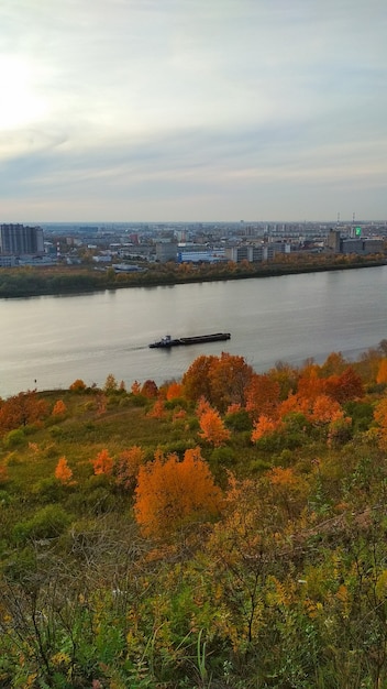 Coral floats on the river in the city