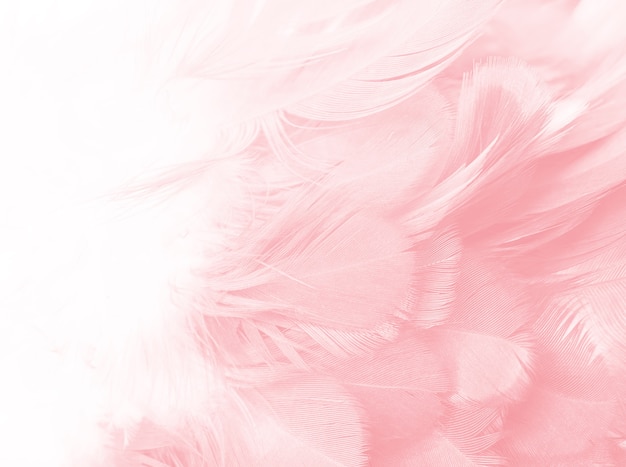 Coral Pink vintage color trends feather texture background