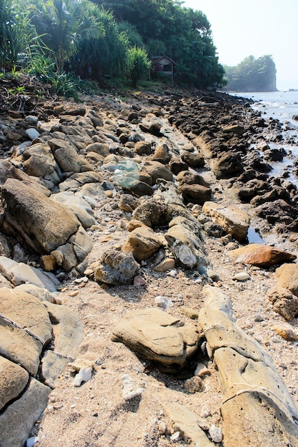 Coral reef Beach is a hidden paradise West Java