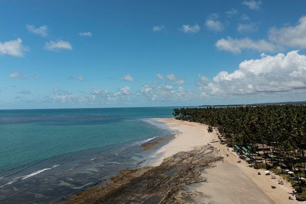 Coral reef at Praia dos Carneiros seen from above