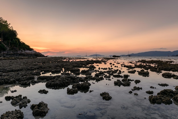 Coral reef in tide phenomenon on coastline