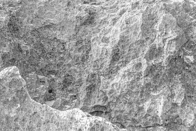 coral rocks stone texture