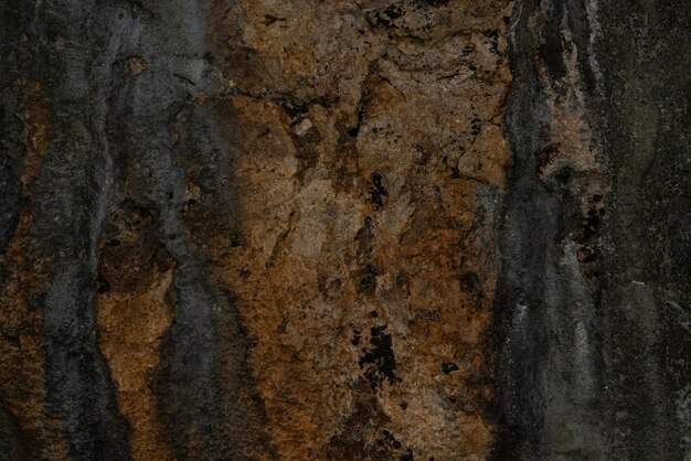 Foto rocce coralline pietra di texture