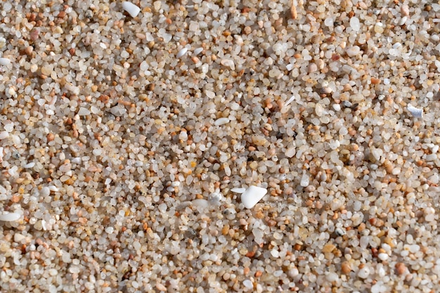 Coral sand beach detail background texture