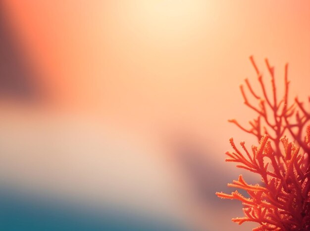 Coral sunset minimal abstract light background