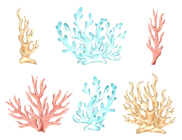 Corals collection blue pink and beige color set of underwater watercolor hand drawn