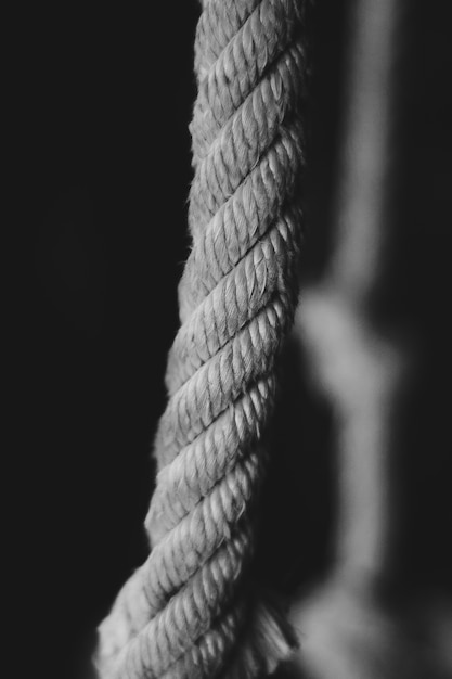 Photo the cord in black and white