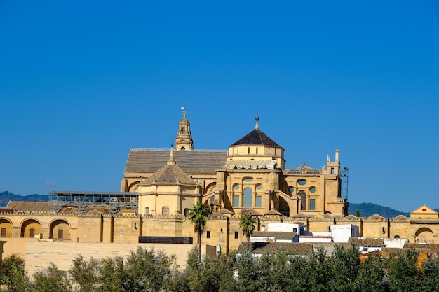 Córdoba, Spanje. Cordoba Moskee-Kathedraal De. Detailopname.