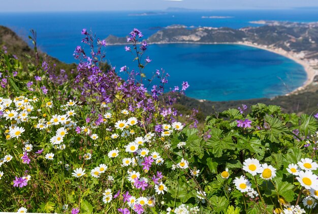 Corfu coast