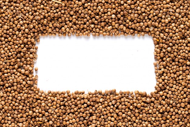 Coriander grains uniformly scattered in the form of a frame, yellow  made of spices. , copyspace.