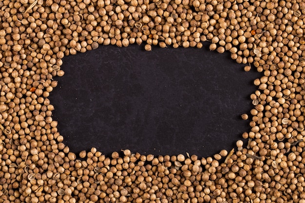 Coriander grains uniformly scattered in the form of frame, yellow  made of spices. , copyspace.