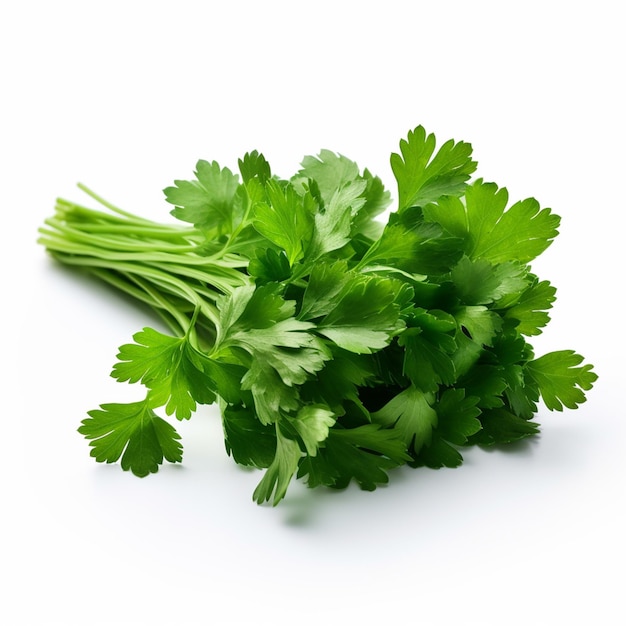 Photo coriander herb parsley isolated on a white background