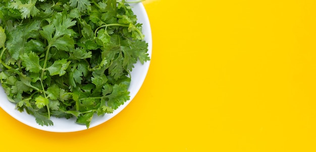 Coriander leaves in white plate on yellow background.