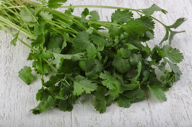 Coriander leaves