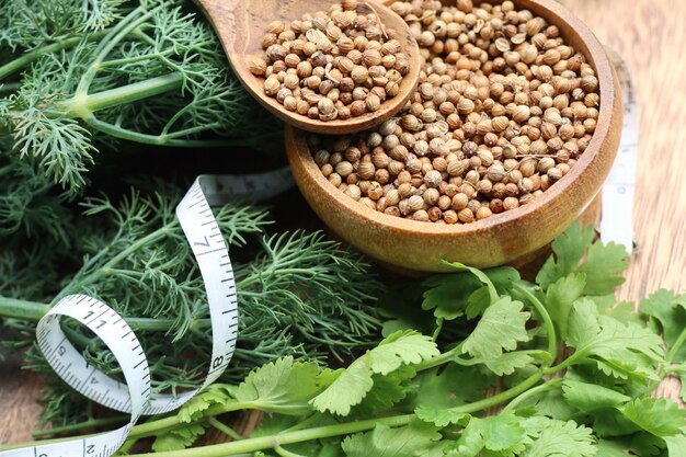 Photo coriander leaves