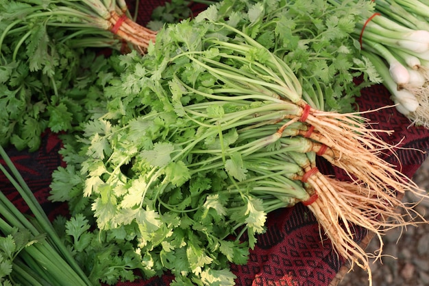 coriander at the market