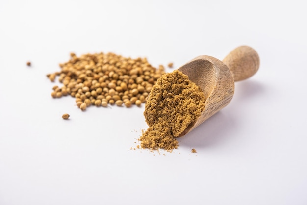 Photo coriander powder or dhaniya powder