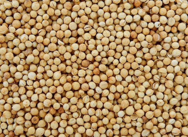 Coriander seeds background