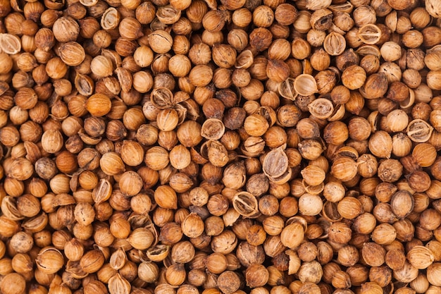 Coriander Seeds Extreme Closeup