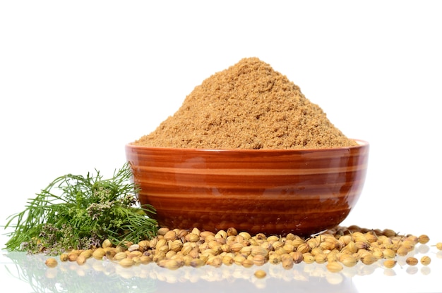 Coriander seeds, Fresh Coriander and Powdered coriander isolated.