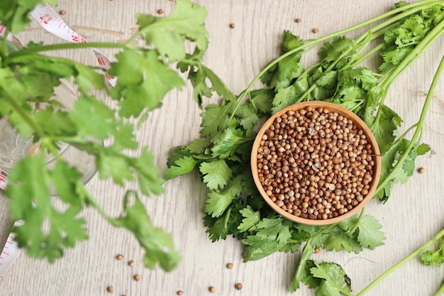 Coriander seeds and fresh