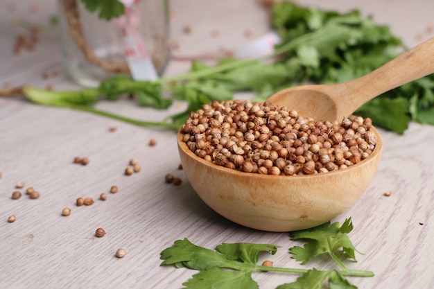 Photo coriander seeds and fresh