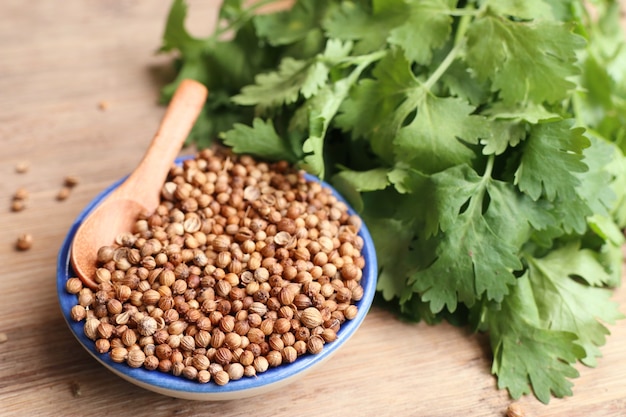 Coriander seeds and fresh