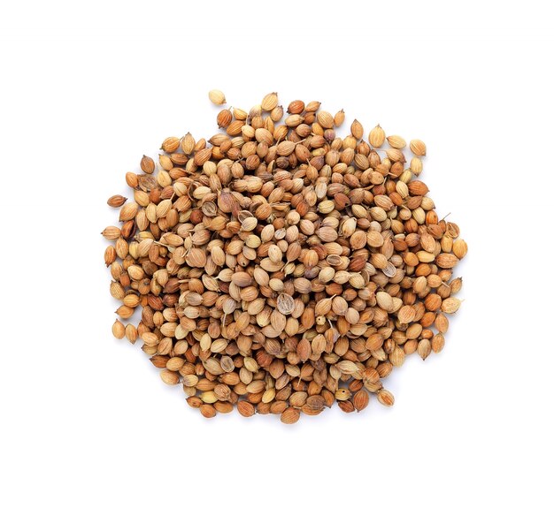 Coriander seeds isolated on white background