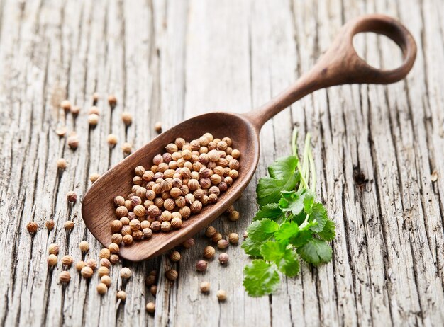coriander seeds and leaves on wooden background